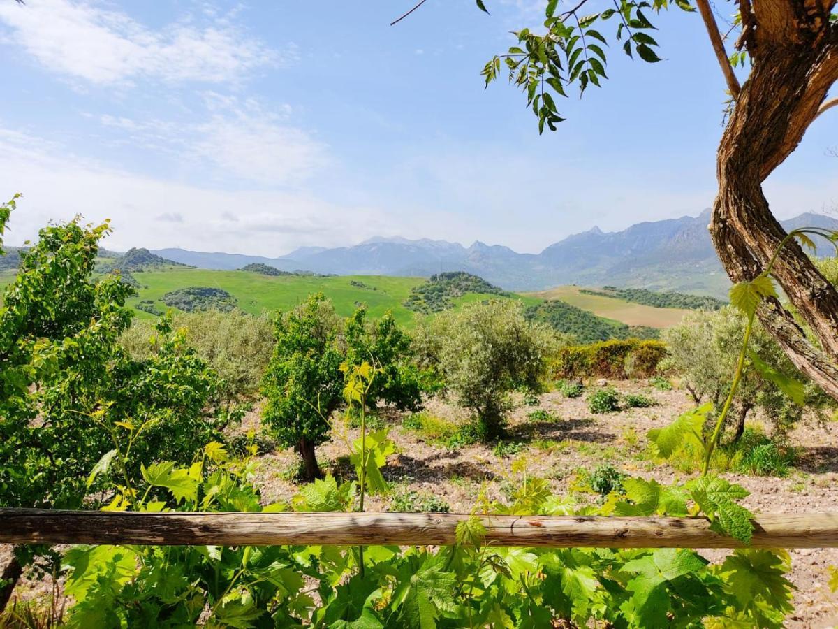 Villa Huerta Nacimiento Montecorto Bagian luar foto
